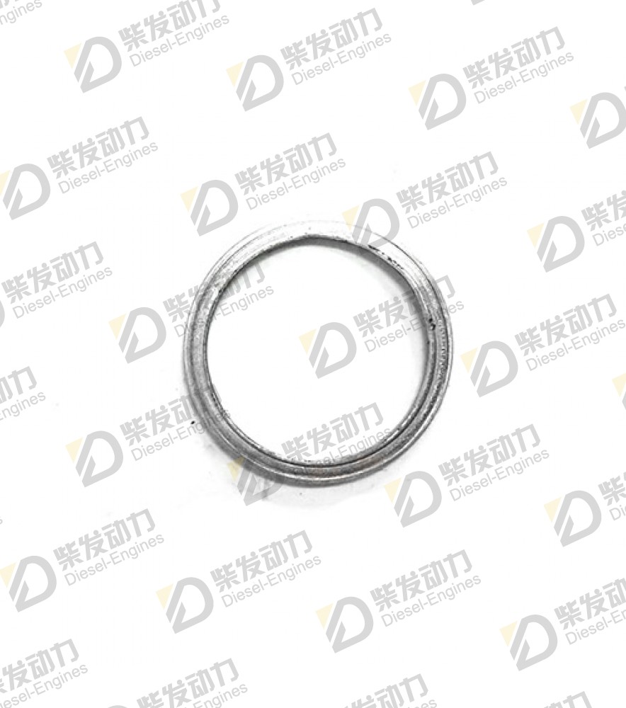 Sealing ring 20405569 